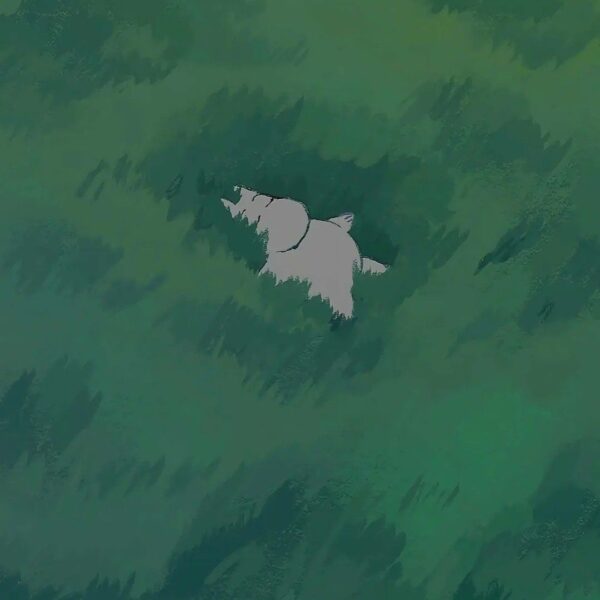 我们异地8天了。